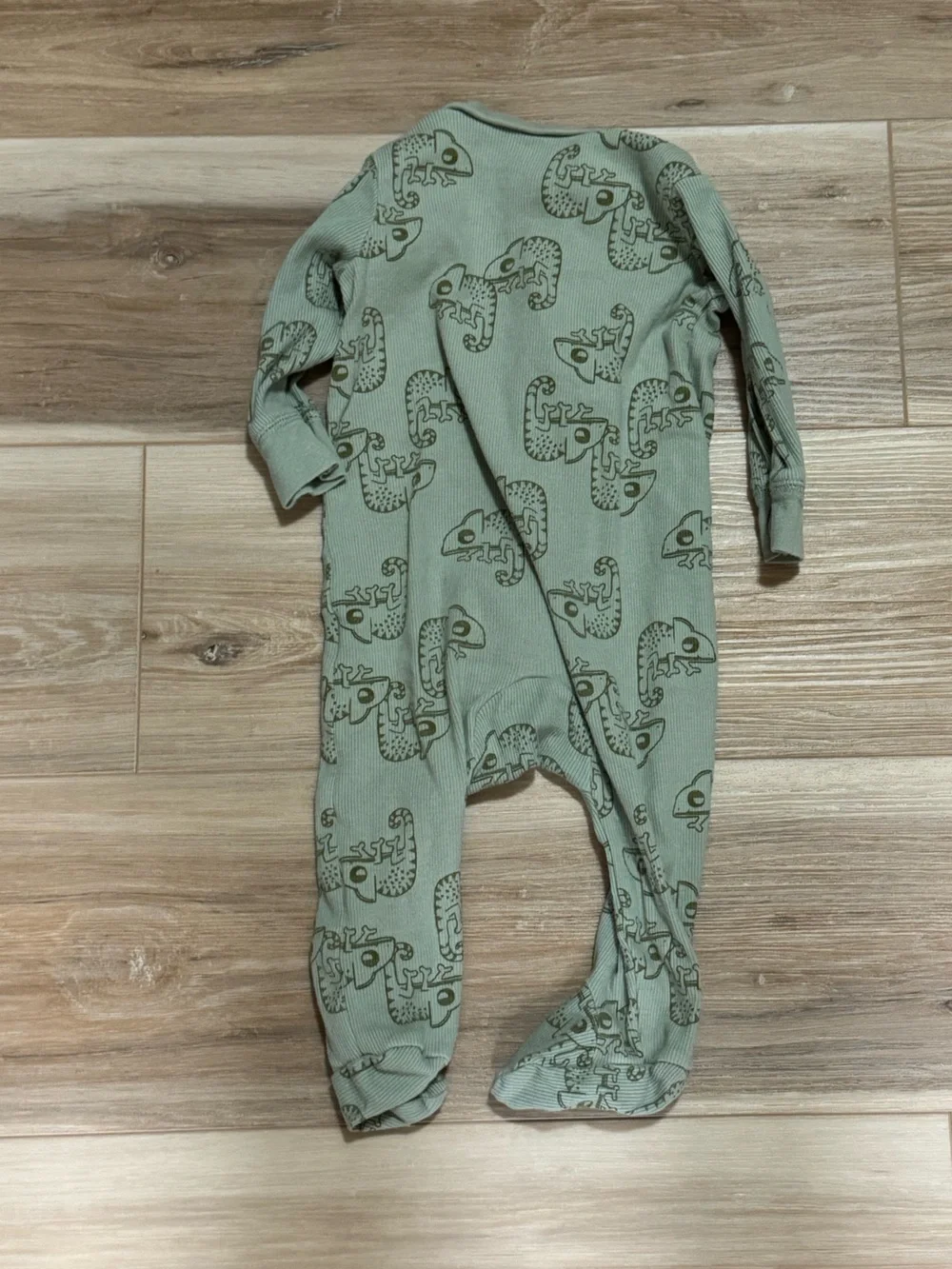 Carter’s chameleon sleep n play